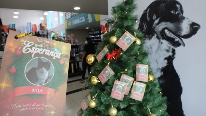 Campanha de apadrinhamento de cães e gatos é prorrogada