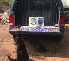 Patrulhamentos do Canil resultam em apreensões de drogas e de moto sem placa