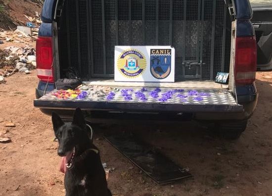 Patrulhamentos do Canil resultam em apreensões de drogas e de moto sem placa