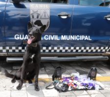 GCM realiza operação de combate ao tráfico de drogas na região do Jardim Belém