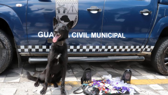 GCM realiza operação de combate ao tráfico de drogas na região do Jardim Belém