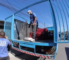 Cata-Treco estende programação até 28 de janeiro