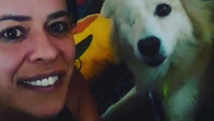 Cão deficiente é a primeira adoção de 2022 do ‘Baby, Me Leva’