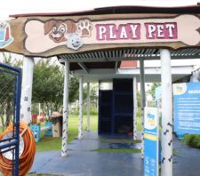 PlayPet realiza novas inscrições e recadastramento para visitação de cães