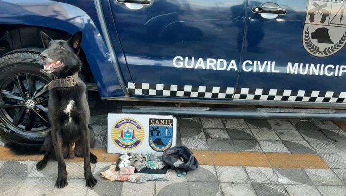 GCM apreende drogas e combate aglomerações durante período de Carnaval