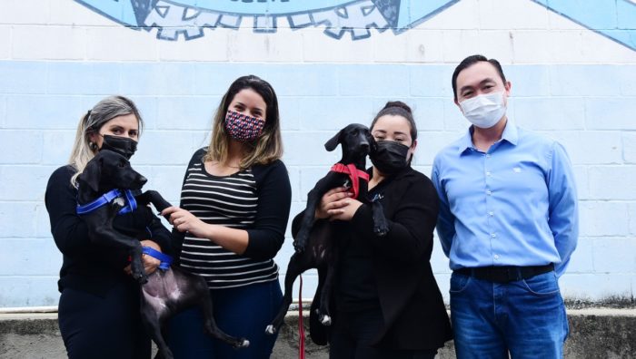 Cães adotados na campanha ‘Baby Me Leva’ são novas mascotes da Guarda Mirim