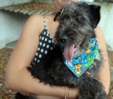 Bem-Estar Animal celebra 73 anos de Suzano com evento de adoção