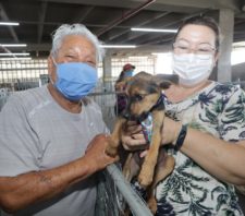 Ação ‘Baby, me Leva’ no Suzano Shopping soma 25 adoções entre cães e gatos