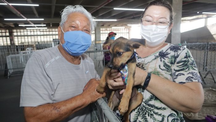 Ação ‘Baby, me Leva’ no Suzano Shopping soma 25 adoções entre cães e gatos