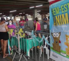 ’Baby, Me Leva’ organiza novo evento de adoção neste domingo