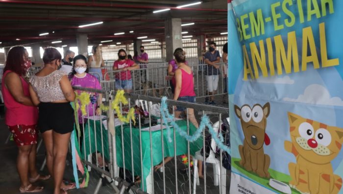 ’Baby, Me Leva’ organiza novo evento de adoção neste domingo