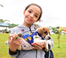 Mais de 20 cães e gatos são adotados em evento especial do ‘Baby, Me Leva’