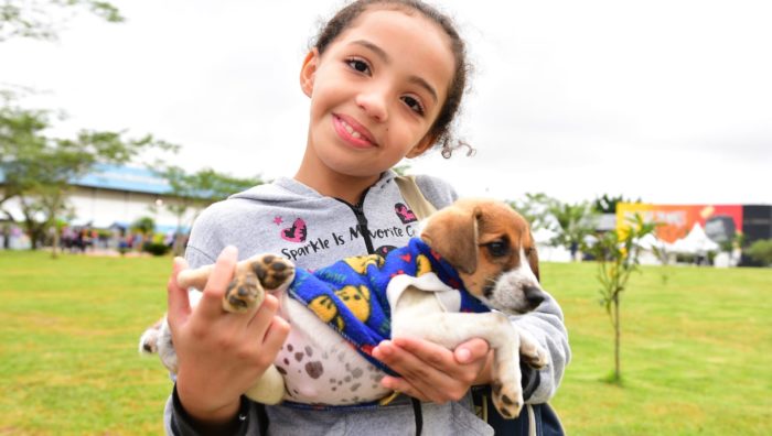 Mais de 20 cães e gatos são adotados em evento especial do ‘Baby, Me Leva’