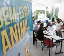 Meio Ambiente segue com inscrições para castração de animais em Suzano