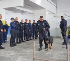 Canil da GCM capacita novos agentes para atuação com cães em ocorrências