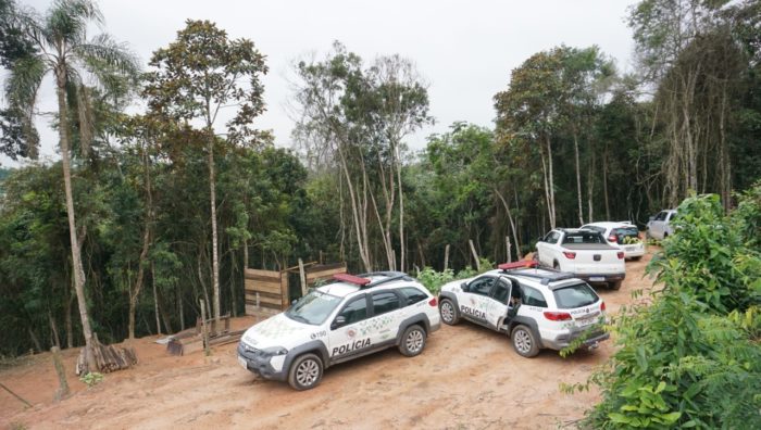 Meio Ambiente de Suzano coíbe desmatamento em área de proteção
