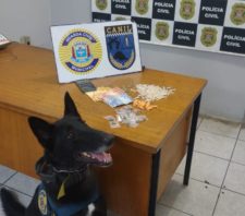 GCM detém homem por tráfico de drogas
