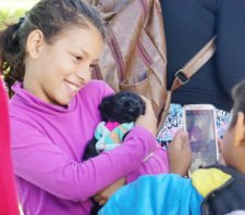 No dia do Meio Ambiente, ‘Baby, Me Leva’ promove adoção de 30 animais