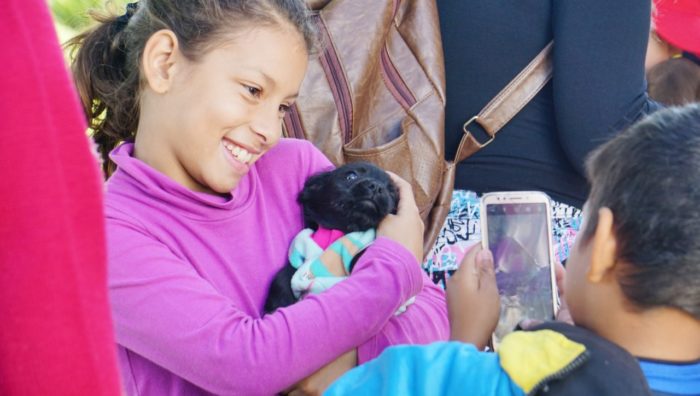 No dia do Meio Ambiente, ‘Baby, Me Leva’ promove adoção de 30 animais