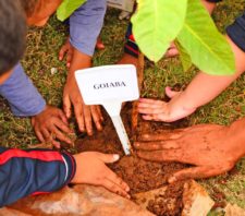 Suzano divulga calendário de eventos para celebrar o Mês do Meio Ambiente
