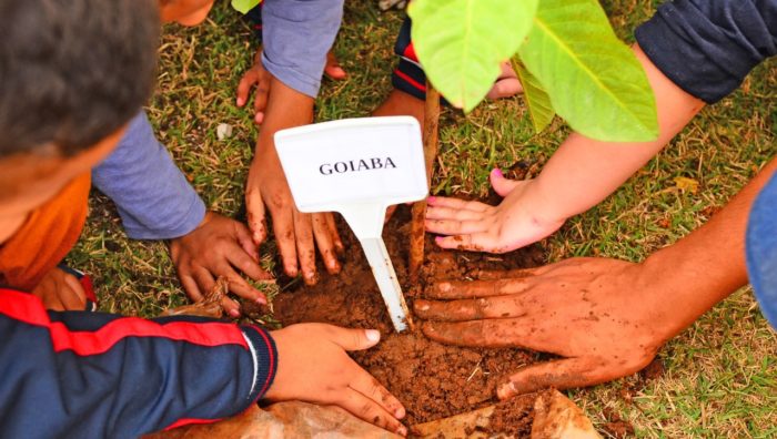 Suzano divulga calendário de eventos para celebrar o Mês do Meio Ambiente