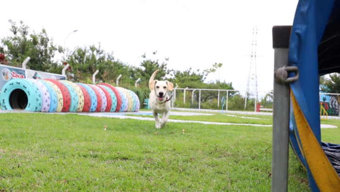 Suzano conquista Centro de Bem-Estar Animal