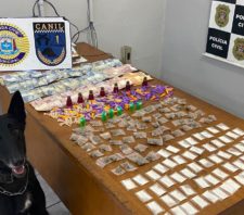 Canil da GCM localiza drogas em terreno da rua São José