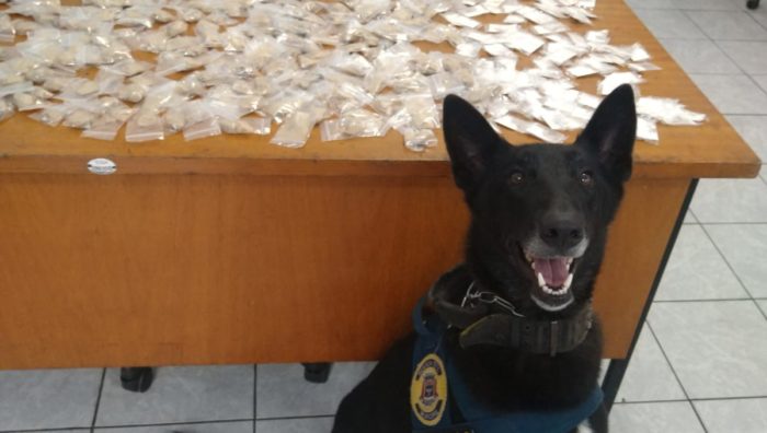 GCM localiza drogas e prende dois suspeitos por tráfico