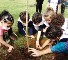 Max Feffer terá evento de adoção de animais e plantio de árvores 
