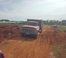 GCM flagra crime ambiental na Casa Branca