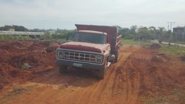 GCM flagra crime ambiental na Casa Branca
