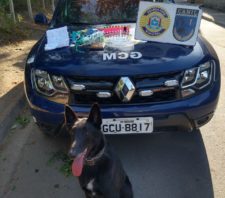 GCM apreende drogas e documentos em Palmeiras