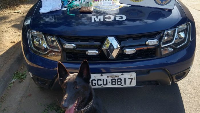GCM apreende drogas e documentos em Palmeiras