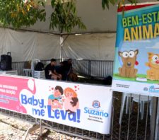 Com ‘Arraiau Baby, me Leva!’, eventos de adoção registram 111 pets com novos lares em 2022
