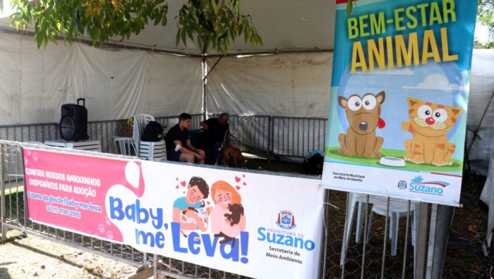 Com ‘Arraiau Baby, me Leva!’, eventos de adoção registram 111 pets com novos lares em 2022