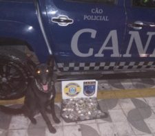 Canil localiza 500 gramas de drogas no Parque Maria Helena