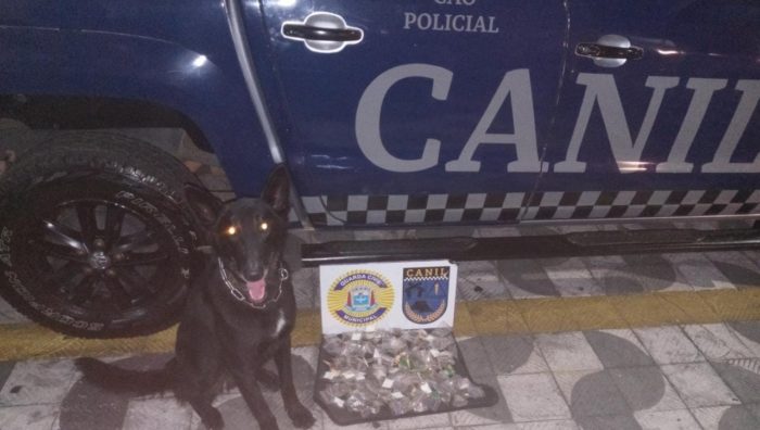 Canil localiza 500 gramas de drogas no Parque Maria Helena