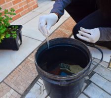 Suzano inicia trabalho para identificar quantidade de larvas do mosquito da dengue na cidade