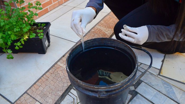 Suzano inicia trabalho para identificar quantidade de larvas do mosquito da dengue na cidade