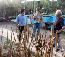 Viveiro Municipal recebe doação de 330 mudas de cerejeiras