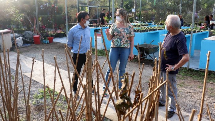 Viveiro Municipal recebe doação de 330 mudas de cerejeiras