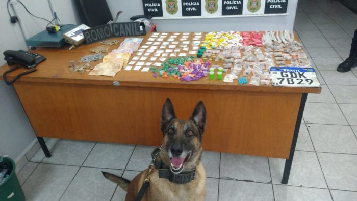 Canil e Romo atuam juntos em apreensão de drogas e recuperação de veículo