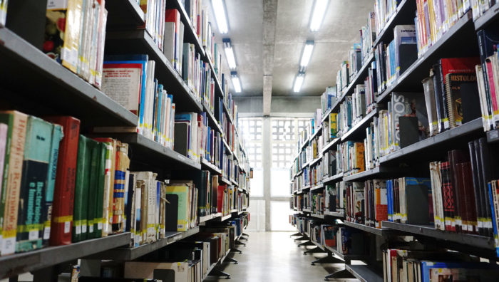 Bibliotecas municipais disponibilizam mais de 5 mil livros de forma gratuita
