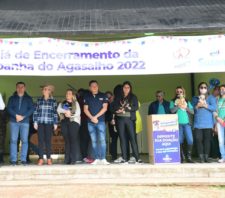 Um pet é adotado em Suzano a cada 33 horas