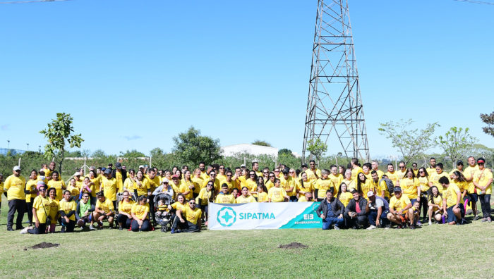 Meio Ambiente participa do plantio de cem mudas de ipê