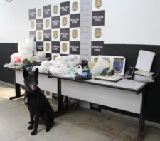 Canil da GCM de Suzano auxilia Polícia Civil em operação contra o crime organizado