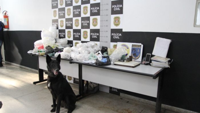 Canil da GCM de Suzano auxilia Polícia Civil em operação contra o crime organizado