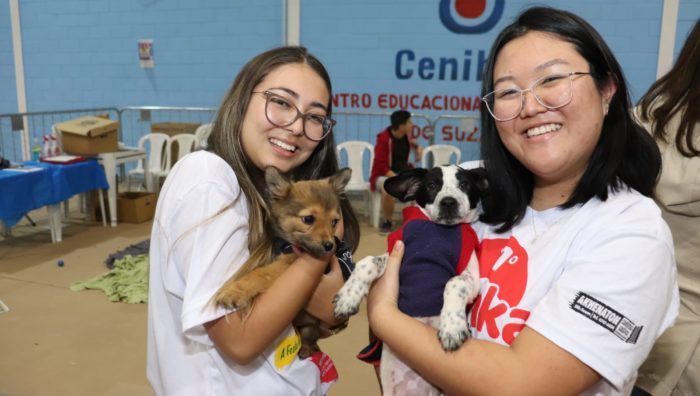 Projeto ‘Baby, me Leva!’ soma 18 adoções em evento no fim de semana