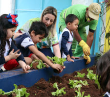 Escola da Cidade Edson ganha pomar e horta educativa
