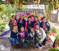 Orquidário Municipal é nova opção de lazer aos finais de semana em Suzano